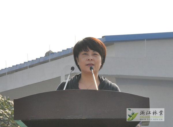 林云举厅长最新动态，日常趣事与情感纽带揭秘