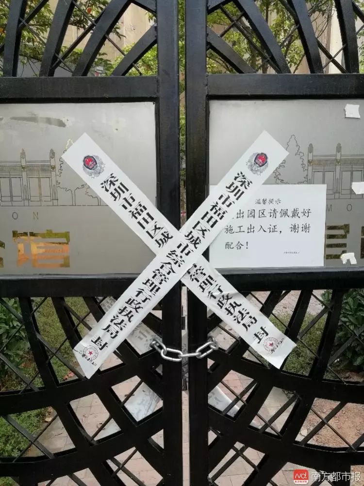 深文所查封最新消息详解，步骤指南与初学者进阶指南