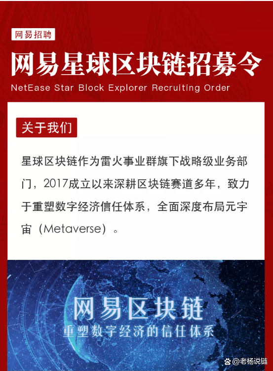 2024新澳门精准免费大全,实地验证研究方案_方案版43.782