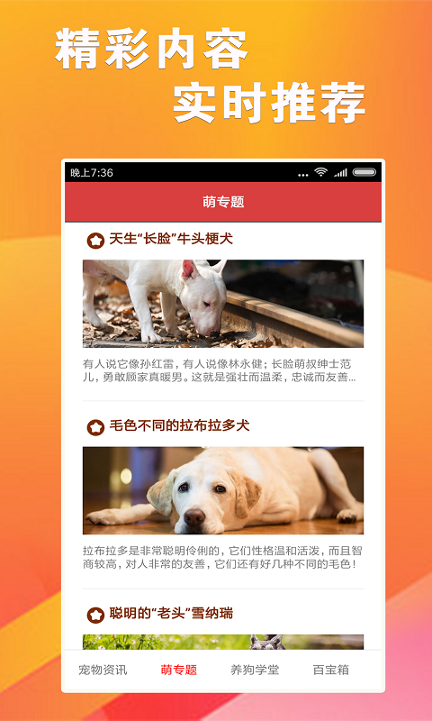 7777788888跑狗论坛版,实用性解读策略_装饰版75.693
