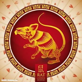 摇钱树四肖八码期期三码必中,创新计划制定_发布版24.267