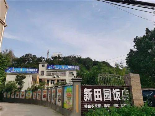 新县房租出租最新动态，市场现状分析与个人观点解读