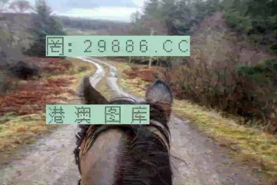 最准一肖一码一一香港澳王一王,最新碎析解释说法_家居版39.272