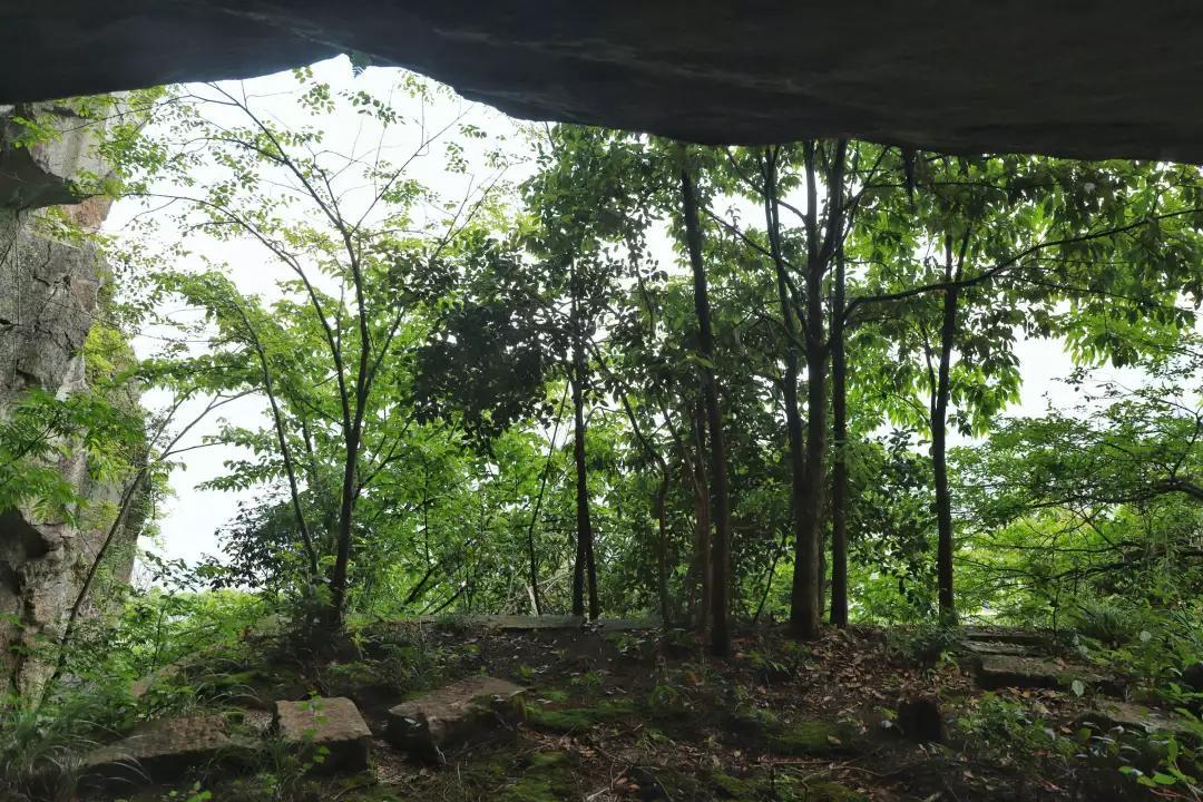 幕阜山开发最新动态，最新消息揭秘🌳🌄