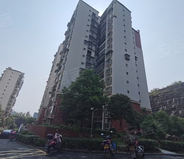 四川蓬安最新房价揭秘，探索自然美景，寻找心灵宁静居所