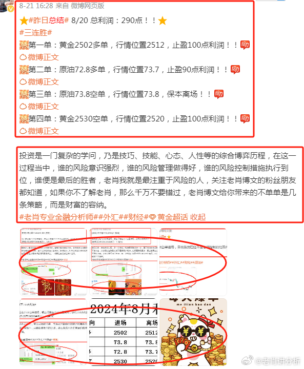 澳门管家婆100%精准,稳固执行战略分析_游戏版67.584