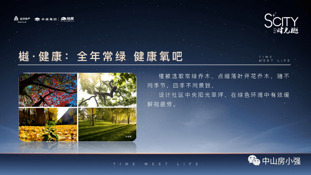 最新君彩精解跑狗图，小巷神秘特色小店探秘揭秘