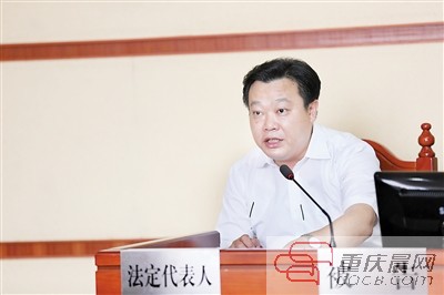 巴南区长陈刚的最新动态及其影响分析