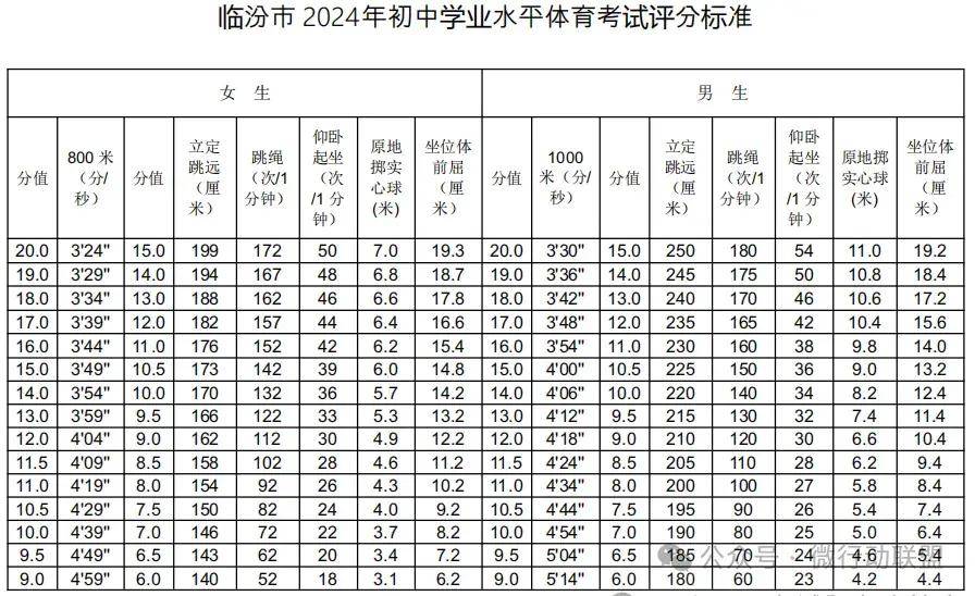 2024新澳门正版免费资料,标准执行具体评价_艺术版88.716