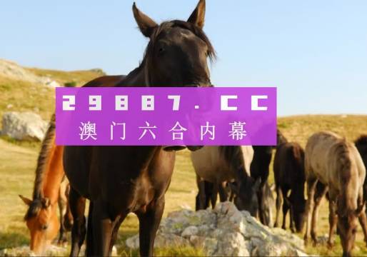 澳门管家婆一肖一码一中一,全面性解释说明_家居版13.501