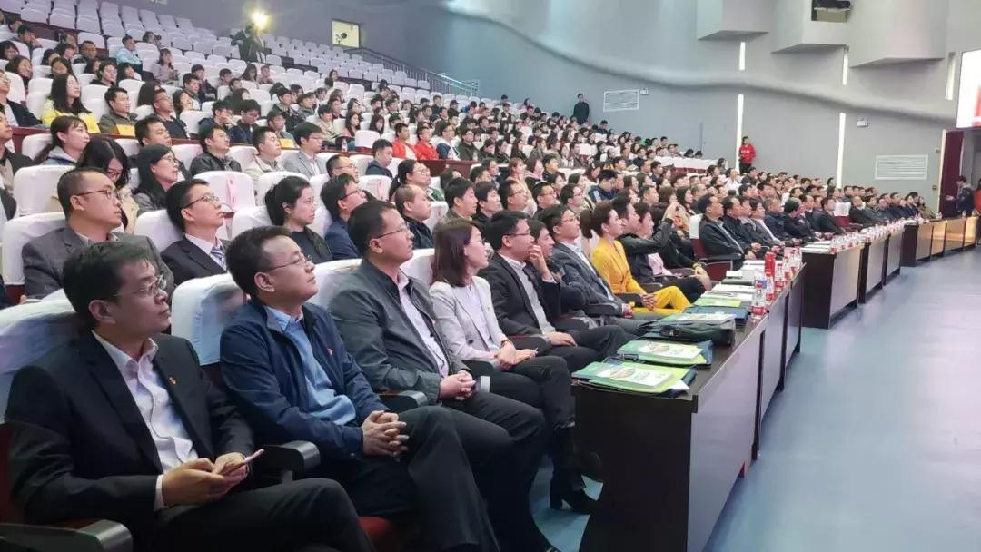 李仕林最新，小巷深处的独特风味美食揭秘