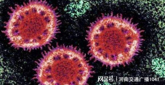 最新新冠感染，自然探索之旅寻求内心平和宁静