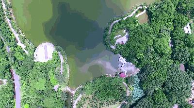 佛山最新的公园,佛山最新的公园，变化、学习与自信的力量