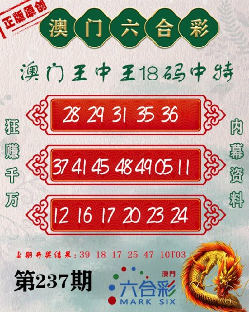 新澳门王中王100%期期中,实地验证研究方案_专属版39.281