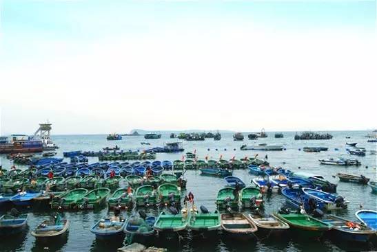 沙鱼涌海滩最新探秘之旅