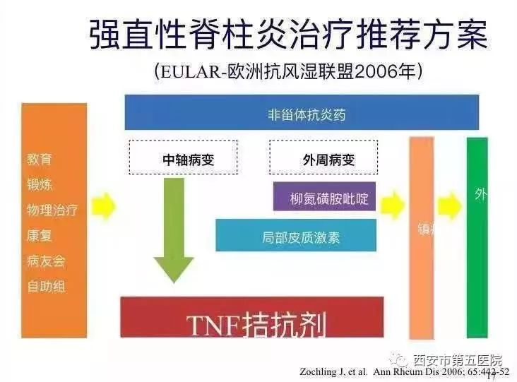 强直最新用药的深入探讨与研究