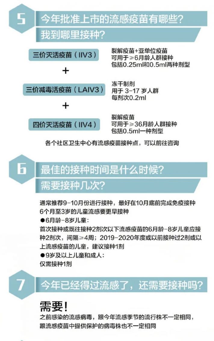时尚潮流演变揭秘，最新流感动向及其影响力