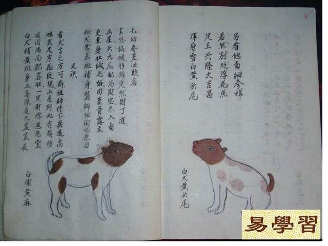 轻质建筑材料销售 第255页
