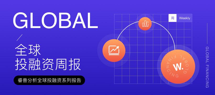 动物世界资金盘最新动态,动物世界资金盘最新动态，多方视角的探讨与解析