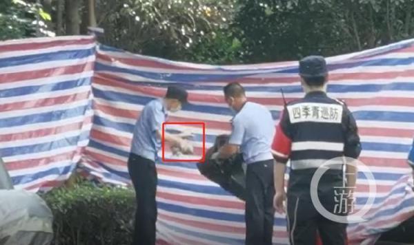杭州失踪女子最新老公,杭州失踪女子最新老公探秘🔍