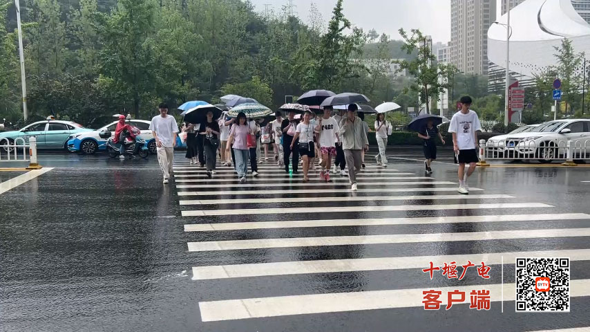 轻质建筑材料销售 第248页