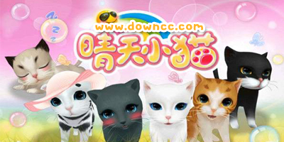 猫咪最新破解版旧版，软件使用需谨慎，法律红线不可逾越（深度探讨）