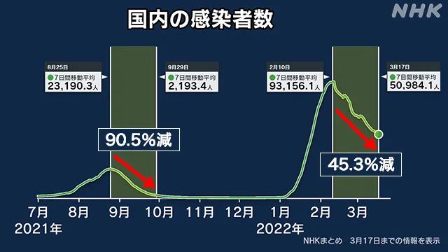 最新疫情动态与大自然的心灵之旅