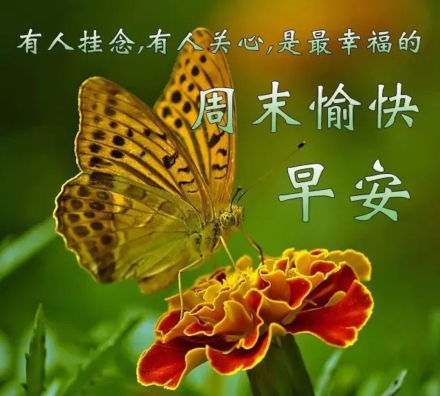 早上好最新图片分享，周末愉快时刻