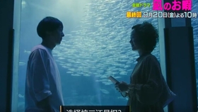 赵小南最新歌曲，音乐之旅的新篇章开启