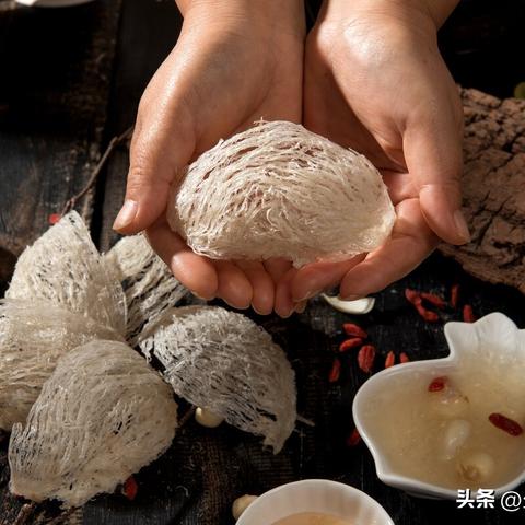 燕窝研究最新进展，应用、未来展望及研究综述