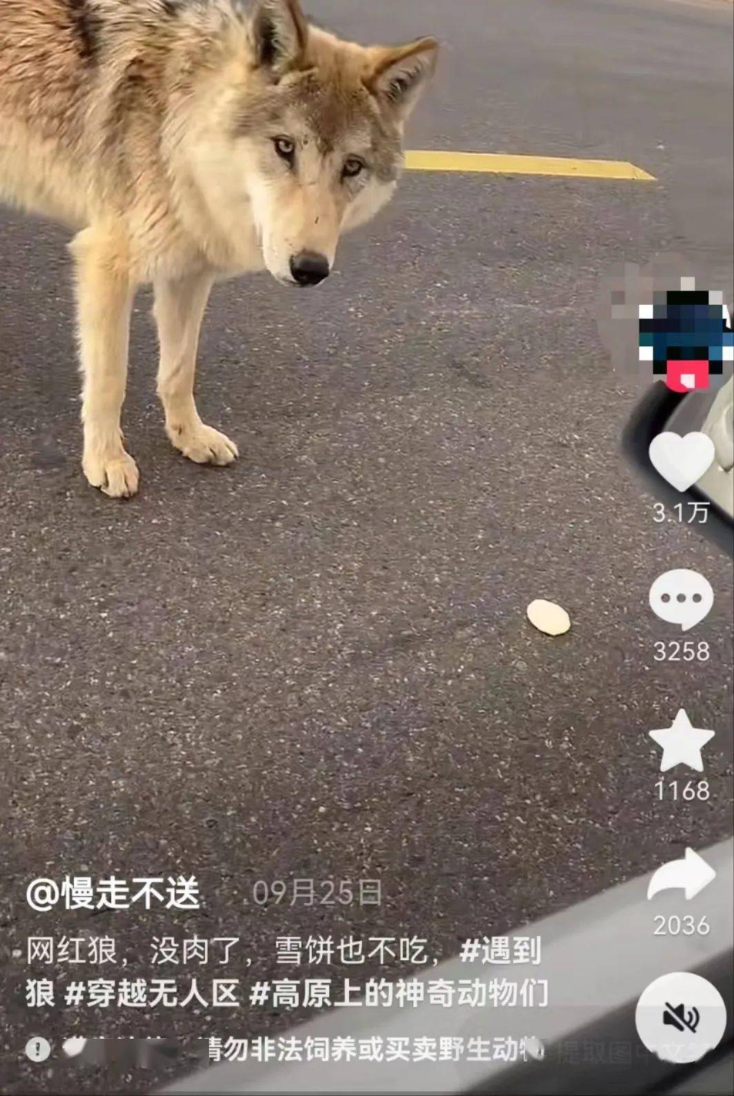 抖狼最新地址，变化中的学习之路与自信成就之源