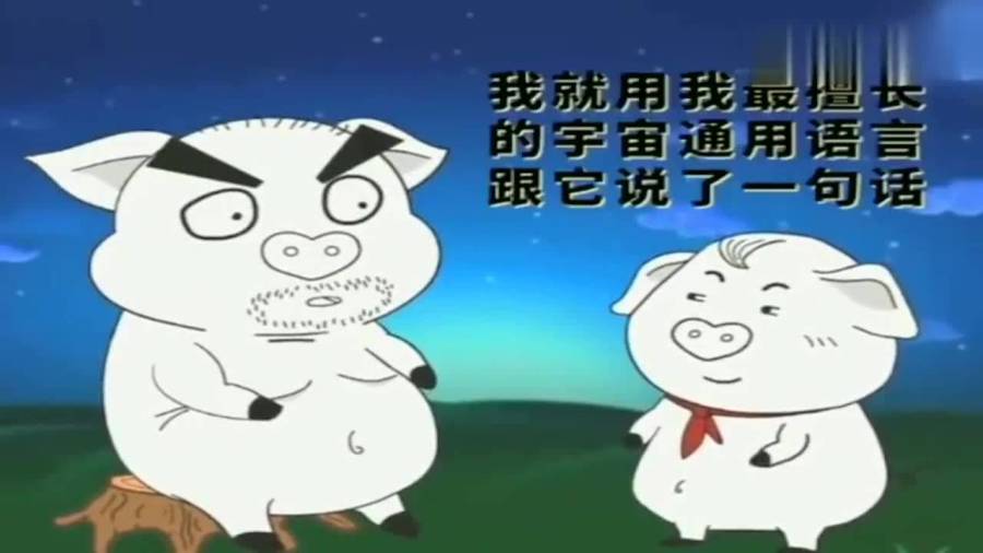 猪屁登最新解析与观点阐述，深度探讨与解读