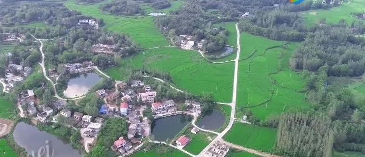 大悟最新资讯，学习变化中的励志之旅，自信与成就感的追求之路
