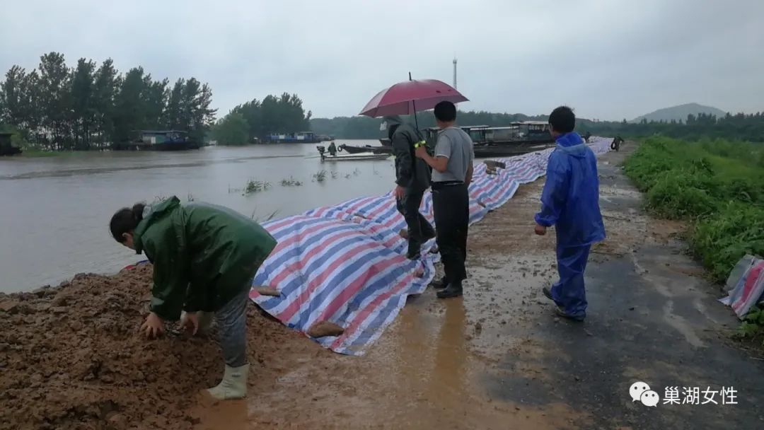 巢湖防汛最新动态,巢湖防汛最新动态及应对步骤指南