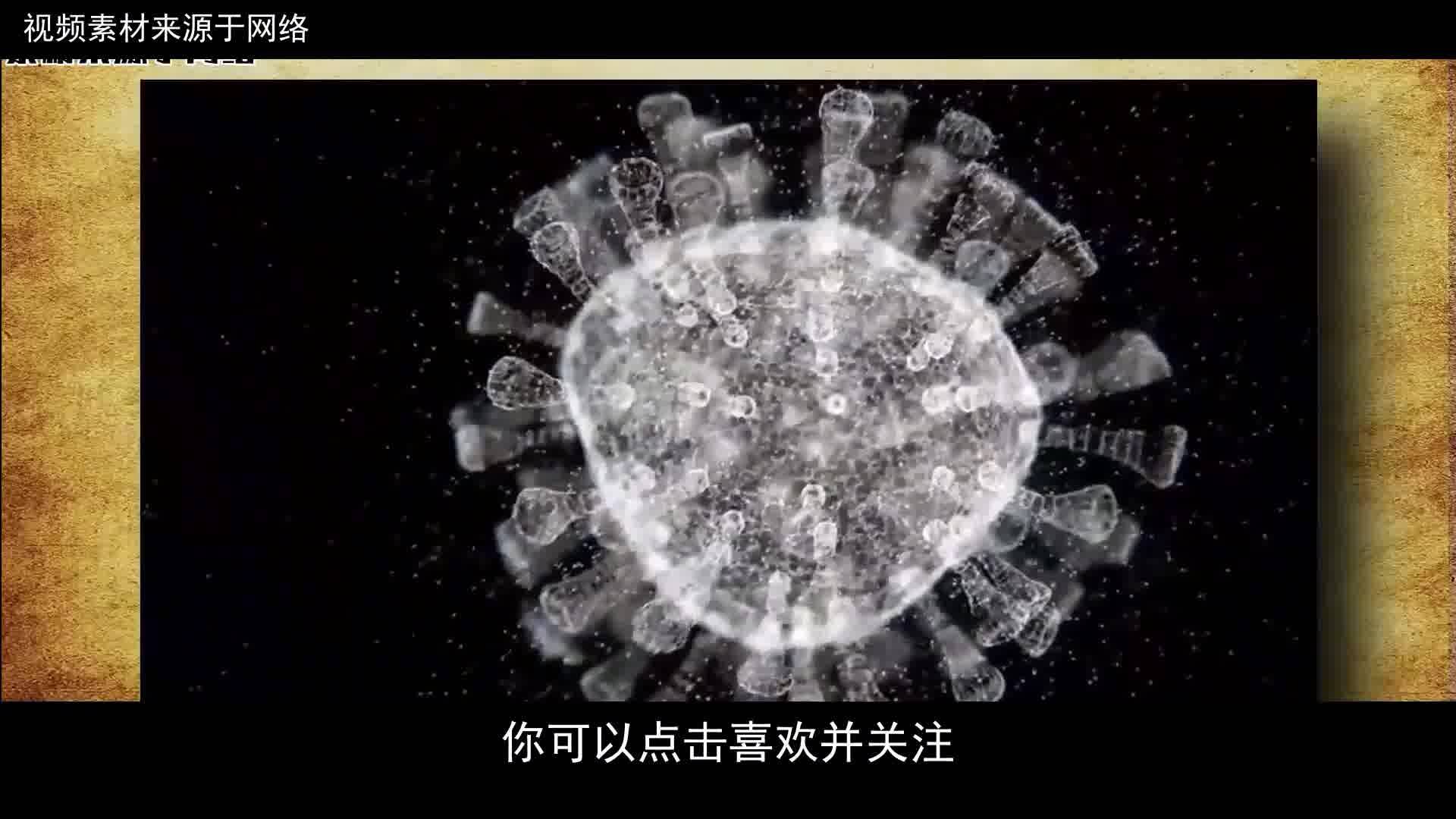 最新超级病毒，病毒威胁下的温馨日常