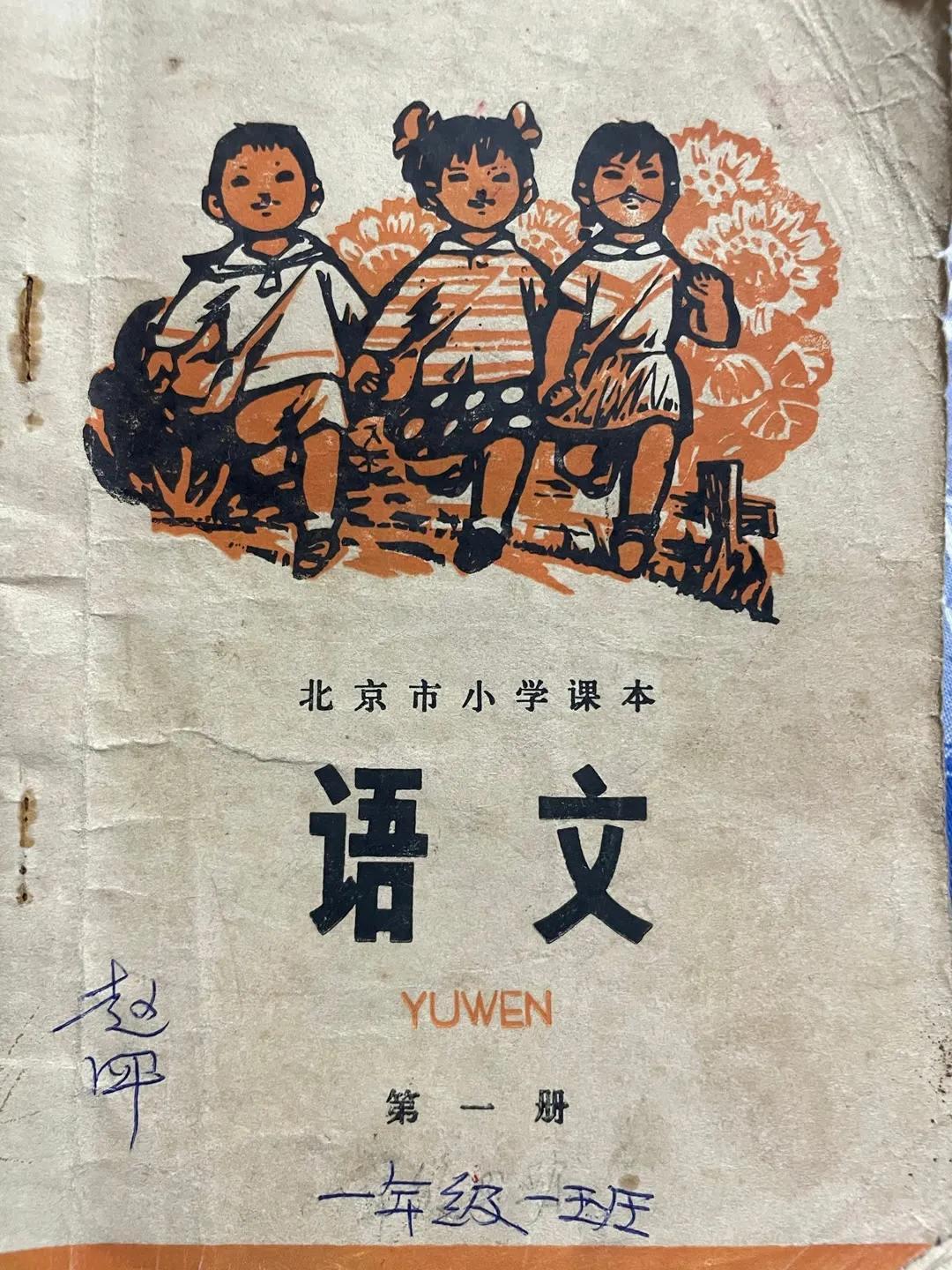 探索最新语文教材，小巷深处的宝藏与语文世界的奇妙旅程