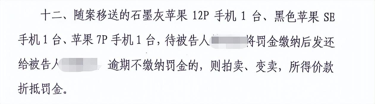 最新原油诈骗案判决结果，心灵与自然的交织之旅揭秘判决结果背后的故事