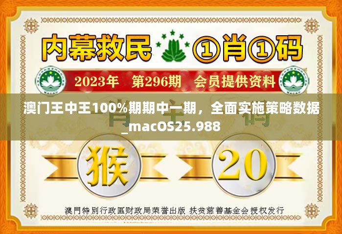 新澳门王中王100%期期中,推动策略优化_硬件版97.553