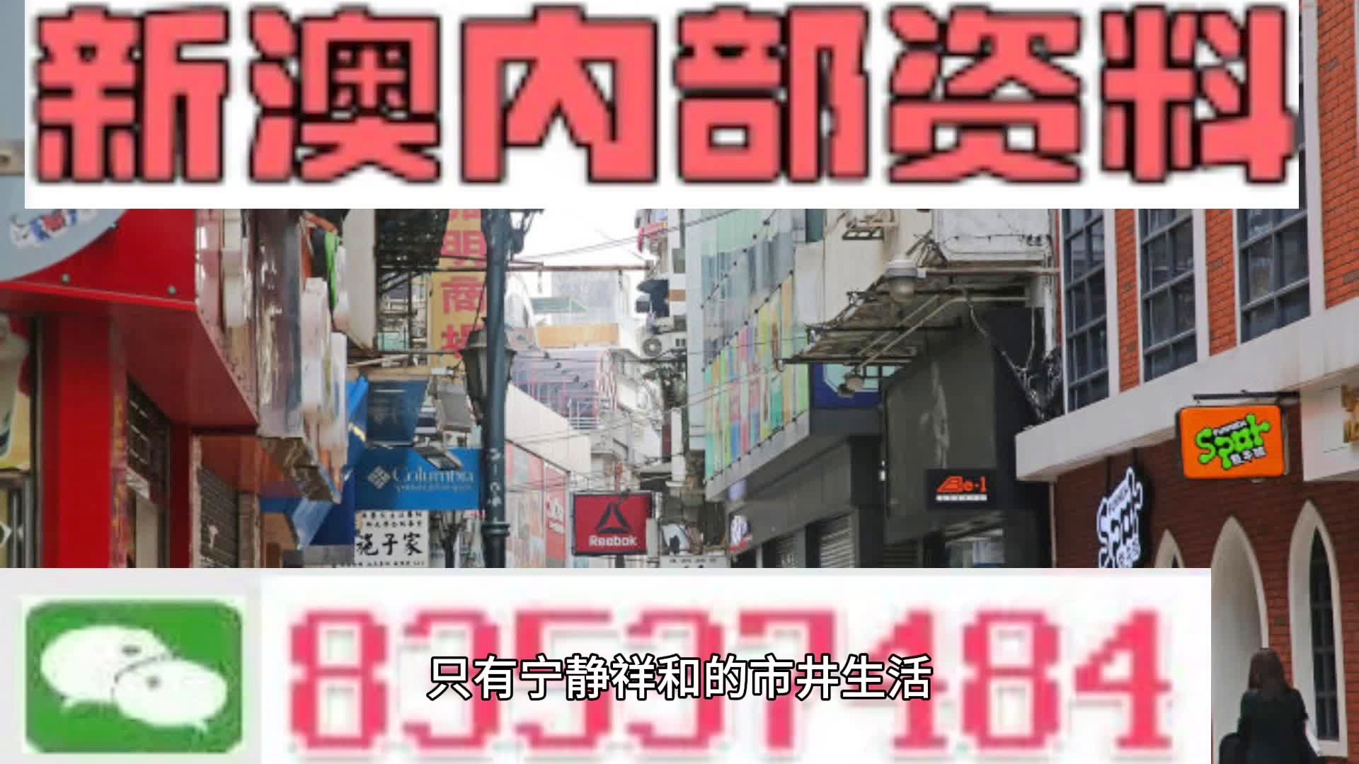 新澳门精准四肖期期中特公开,专业解读方案实施_儿童版37.252