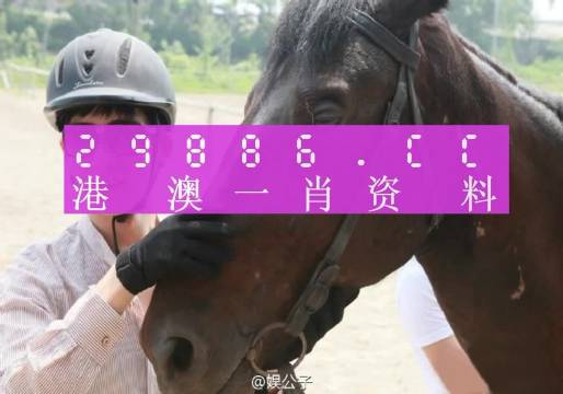澳门一肖一码一必中一肖同舟前进,精细化实施分析_轻奢版6.756
