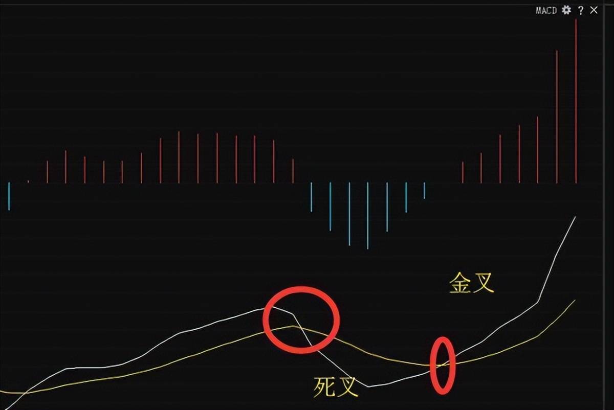 股票中的金叉与死叉解析，股市探索之旅，寻求内心平静之道。