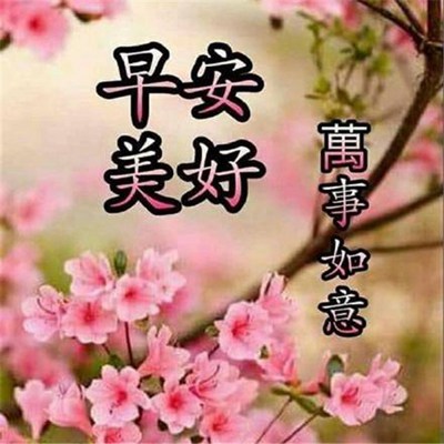 最新版早上好，三大要点助你开启美好一天