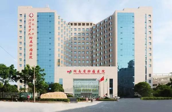 小丽的护士职位求职之旅，友情相伴下的温暖启程