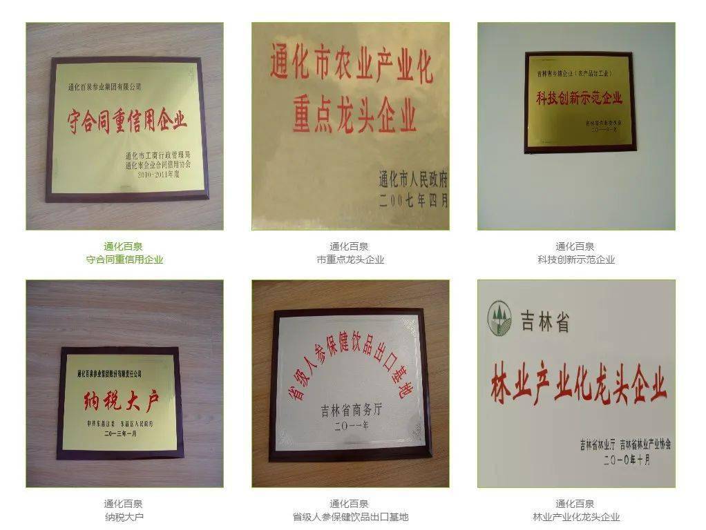 百泉参业最新动态及发展趋势🌿🌱