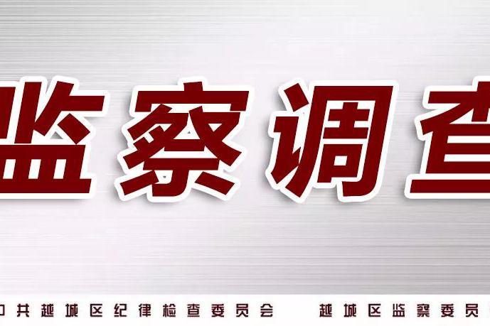 最新监察调查,最新监察调查，小城的日常与温情纽带