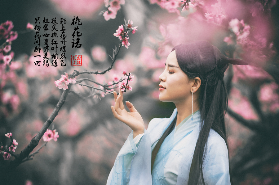 桃花诺演员表揭秘，自然美景中的旅行探索之旅