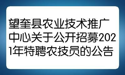 望奎招聘信息引领变革，智能招聘新时代开启