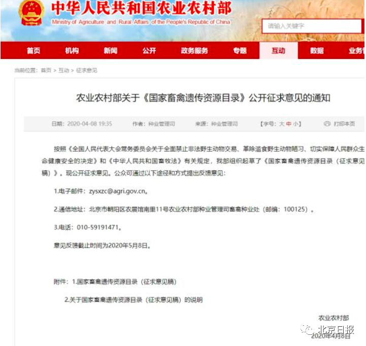 最新禁食公告解读与重要更新通知