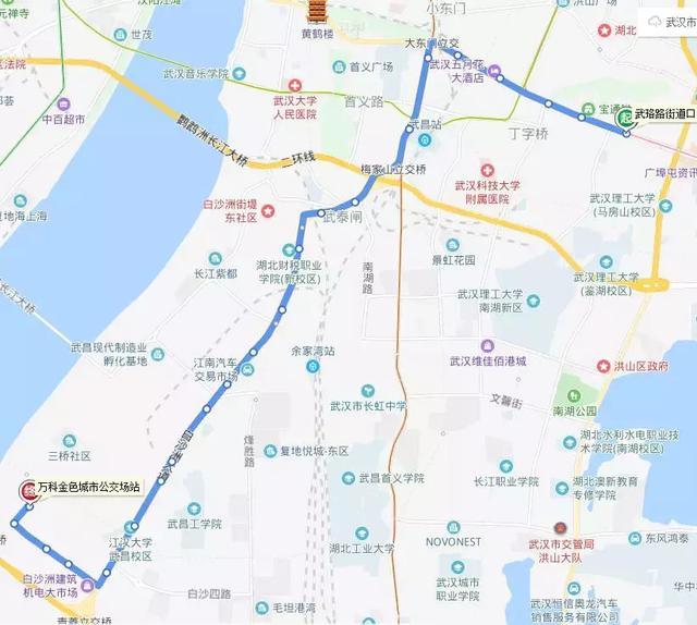 白沙洲最新动态，城市前沿发展的深度观察