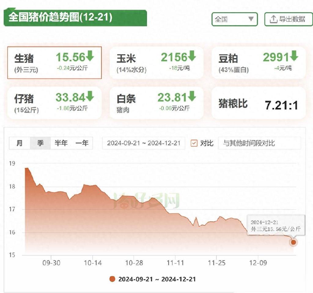 猪肉行情动态，把握变化中的机遇，励志人生从此启航